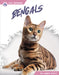 Bengals by Abby Doty