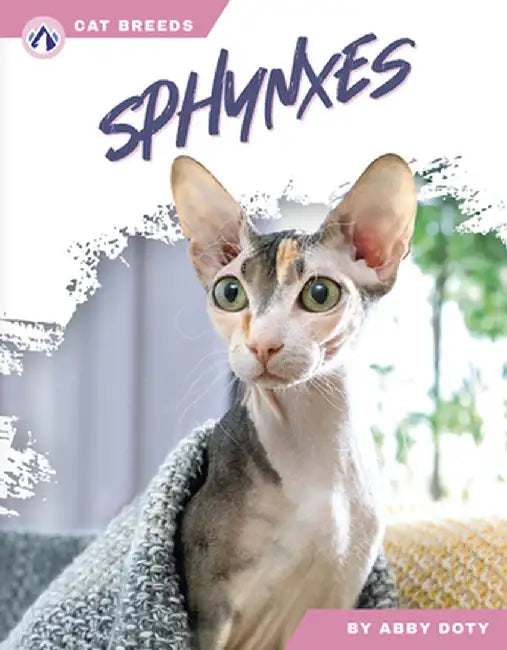 Sphynxes by Abby Doty