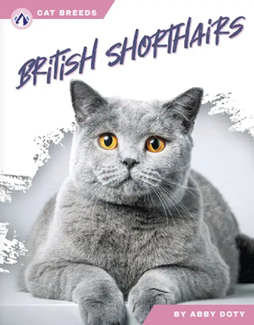 British Shorthairs by Abby Doty