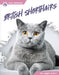 British Shorthairs by Abby Doty