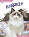 Ragdolls by Abby Doty