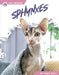 Sphynxes by Abby Doty