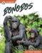 Bonobos by Trudy Becker