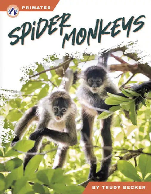 Spider Monkeys by Trudy Becker