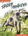 Spider Monkeys by Trudy Becker