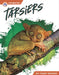 Tarsiers by Trudy Becker