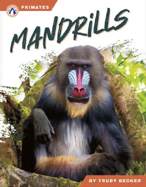 Mandrills by Trudy Becker
