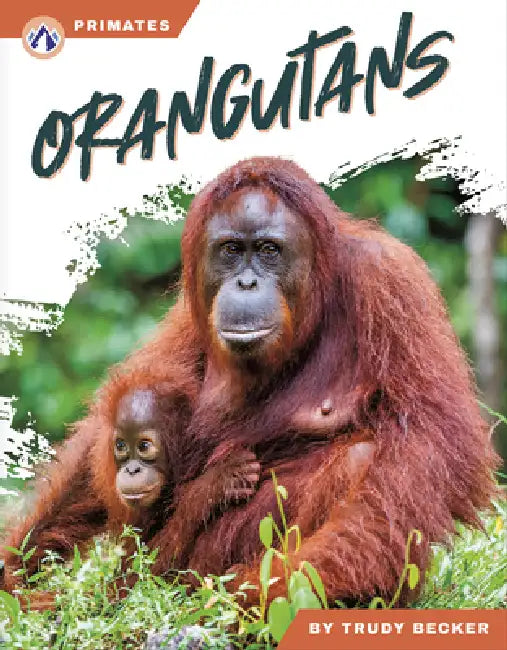 Orangutans by Trudy Becker