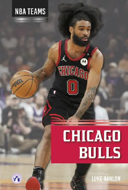 Chicago Bulls by Luke Hanlon