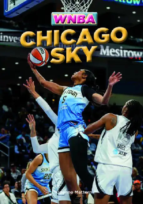 Chicago Sky by Joanne Mattern
