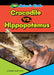 Crocodile vs. Hippopotamus by Joanne Mattern