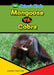 Mongoose vs. Cobra by Joanne Mattern