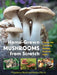 Home-Grown Mushrooms from Scratch: A Practical Guide to Cultivating Mushrooms Outside and Indoors by Wurth, Magdalena