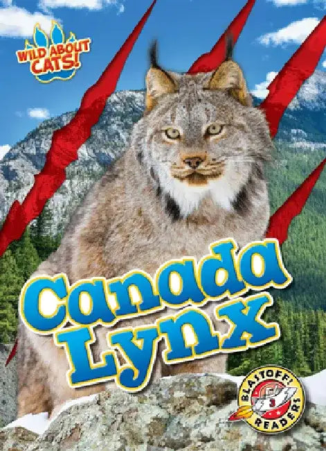 Canada Lynx by Shannon Anderson