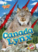 Canada Lynx by Shannon Anderson