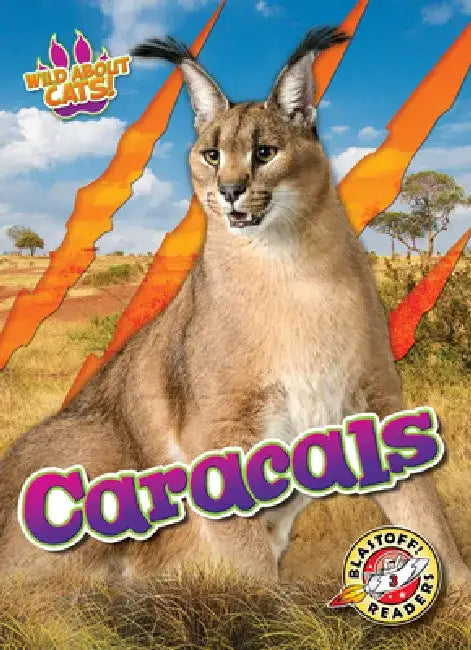 Caracals by Shannon Anderson
