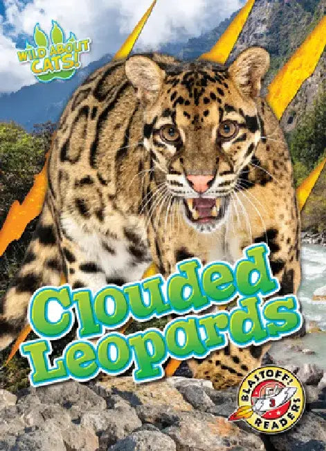 Clouded Leopards by Shannon Anderson