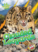 Clouded Leopards by Shannon Anderson