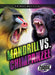 Mandrill vs. Chimpanzee by Nathan Sommer