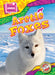 Arctic Foxes by Chris Bowman