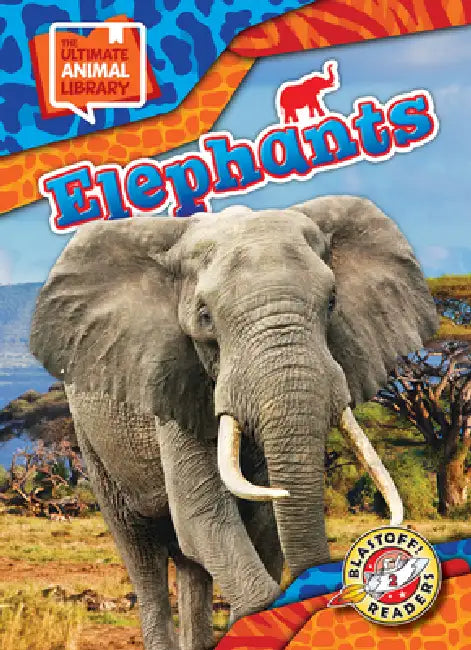 Elephants by Chris Bowman