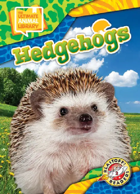 Hedgehogs by Chris Bowman