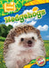Hedgehogs by Chris Bowman
