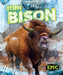 Steppe Bison by Elizabeth Neuenfeldt, Mat Edwards