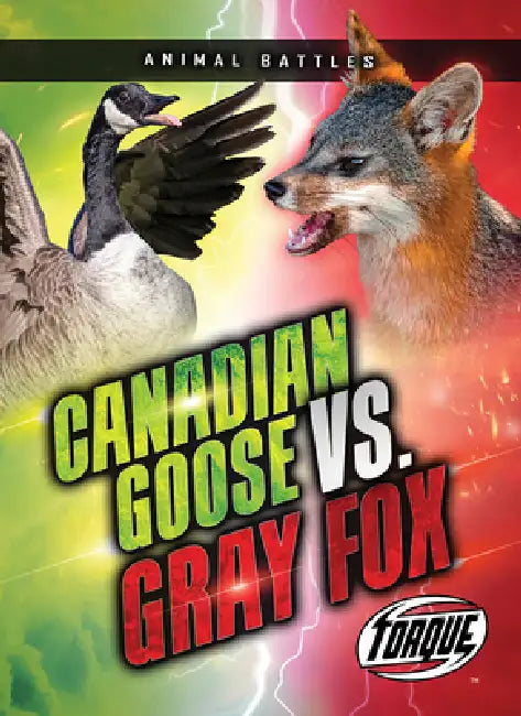 Canada Goose vs. Gray Fox by Nathan Sommer