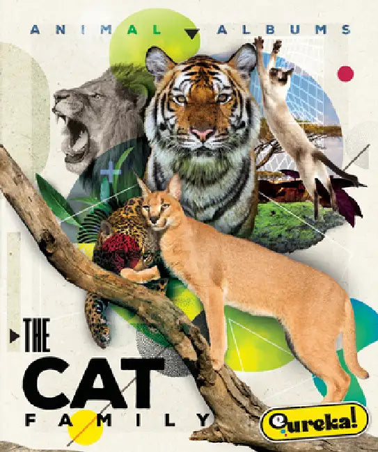 The Cat Family by Golriz Golkar