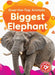 Biggest Elephant by Suzane Nguyen