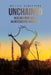 Unchained Healing From Abuse: An Interactive Workbook by Melisa Schiffers