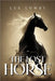 The Lost Horse by Lowry, Lee