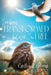 I've Been Transformed: But Now, I'm Free by Cynthia L. Holloway