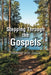 Stepping Through the Gospels: Walking with Jesus by Alan Engle