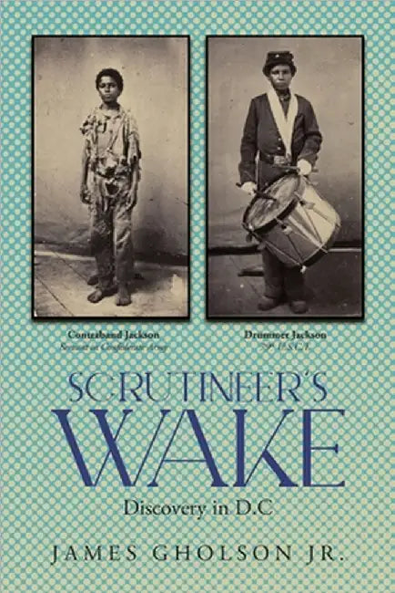Scrutineer's Wake: Discovery in D.C by James Gholson