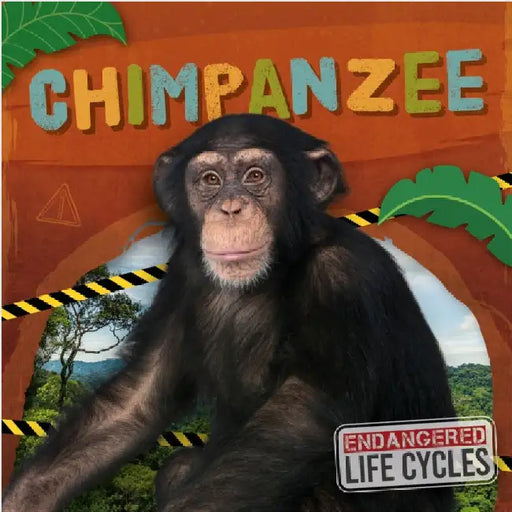Chimpanzee by Andrews, E. C.