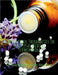 Homoeopathic Therapeutics in Universal Medical Terminology by Rajneesh Kumar Sharma