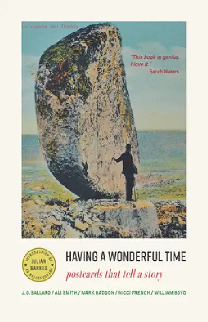 Having a Wonderful Time: Postcards That Tell a Story by Julian Rothenstein