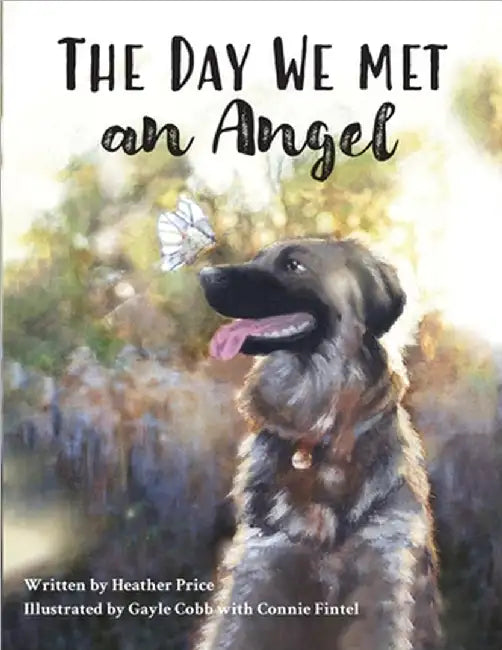 The Day We Met an Angel by Heather Price