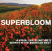 Superbloom: A Visual Ode to Nature's Bounty in the American West by Mark Lisk