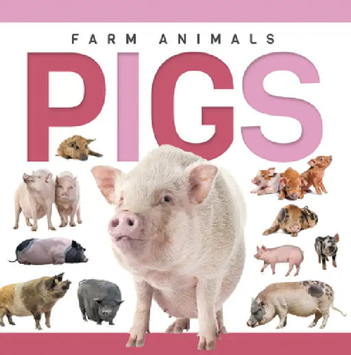 Pigs by Sadie Hallworth