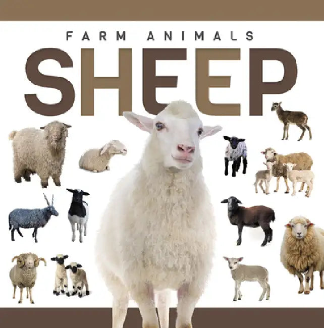 Sheep by Eliza Nodes