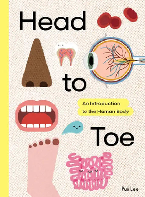 Head to Toe: An Introduction to the Human Body by Lee, Pui