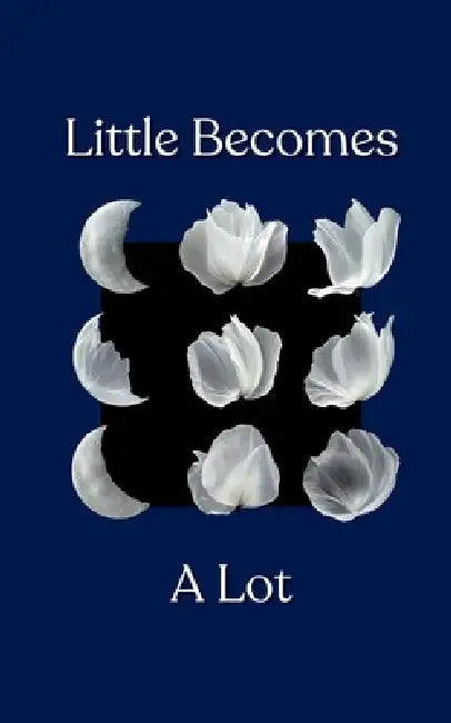 Little Becomes A Lot by S Roge