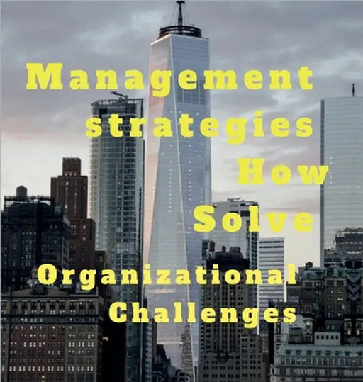 Management strategies How Solve Organizational Challanges by John Lok