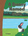 A Bunny Named Sam by R. Haeck
