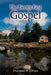 The Twenty-First Gospel by Diarmuid H. O'Hara