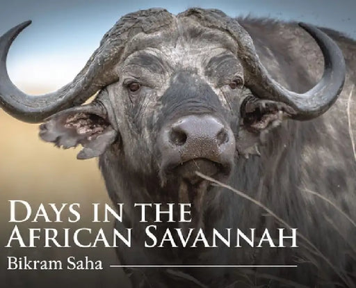 Days in the African Savannah by Bikram Saha