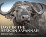 Days in the African Savannah by Bikram Saha